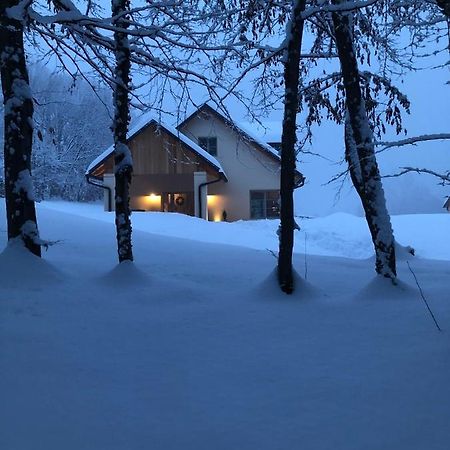 Loft Naturalpina Dolomiti Farm Belluno Kültér fotó