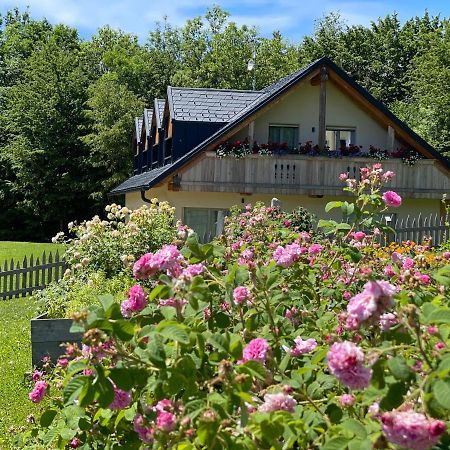 Loft Naturalpina Dolomiti Farm Belluno Kültér fotó