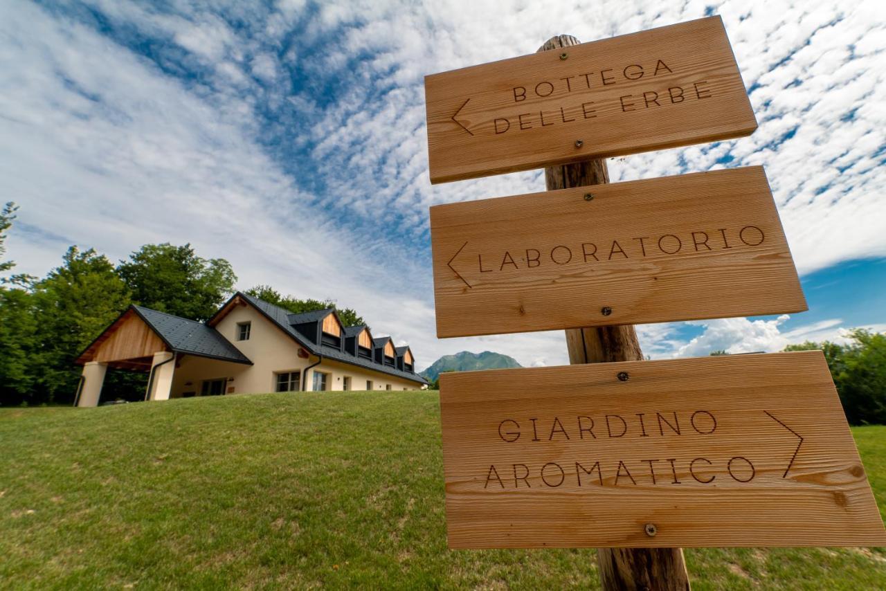 Loft Naturalpina Dolomiti Farm Belluno Kültér fotó