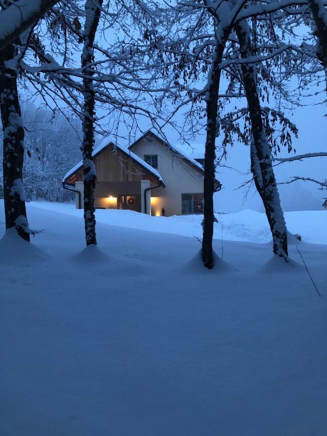 Loft Naturalpina Dolomiti Farm Belluno Kültér fotó