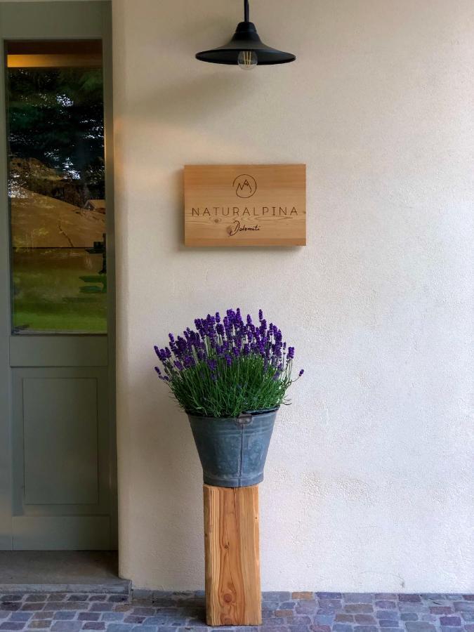 Loft Naturalpina Dolomiti Farm Belluno Kültér fotó
