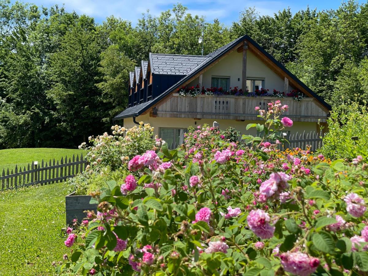 Loft Naturalpina Dolomiti Farm Belluno Kültér fotó